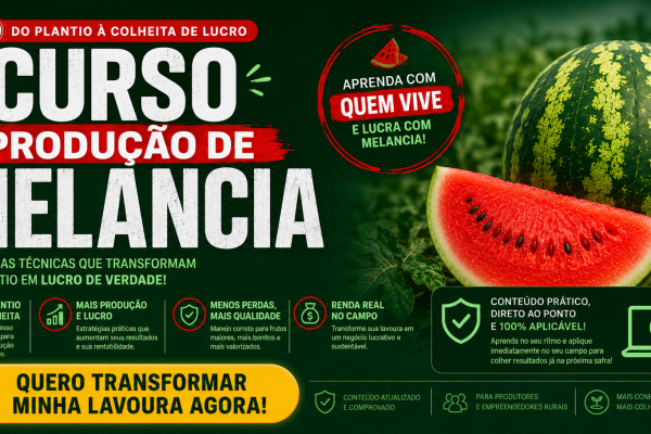 curso produçao de melancia
